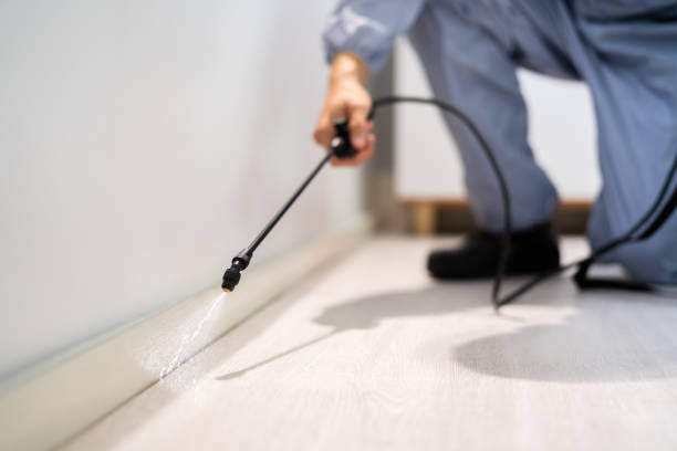 Bed Bug Pre-Treatment Preparation Assessment in Lost Hills
