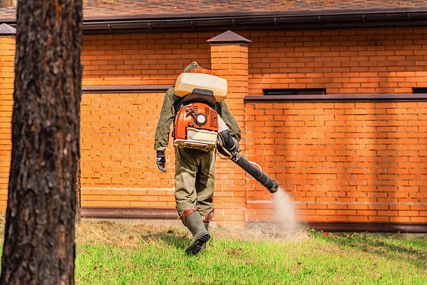 Bed Bug Clearance Verification and Documentation in Lost Hills